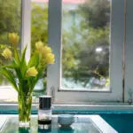 Grundlæggende om drypnæser og vandnæser